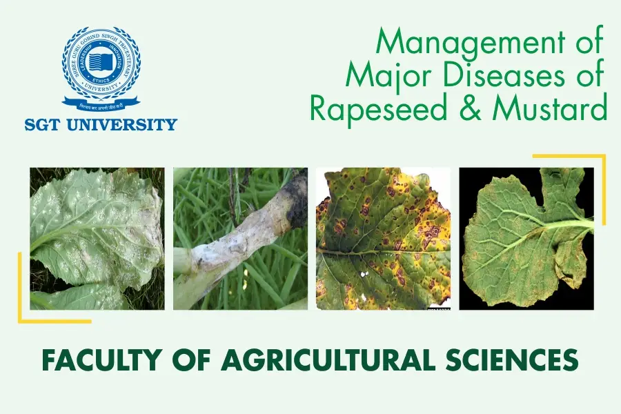 Integrated-Management-of-Major-Diseases-of-Rapeseed-Mustard-Faculty-of-Agricultural-Science-SGT-University