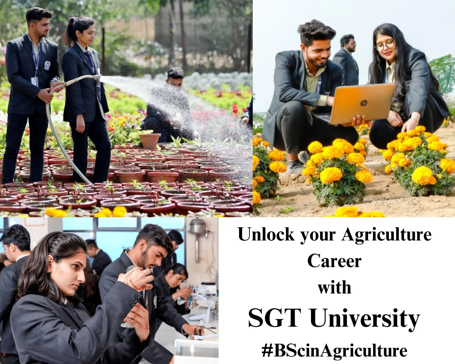 career-in-bsc-hons-in-agriculture