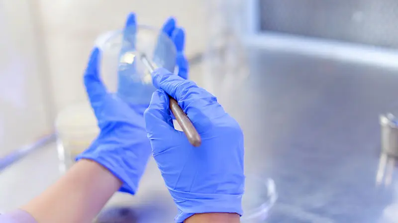 Life Sciences, Biotechnology and Bioinformatics