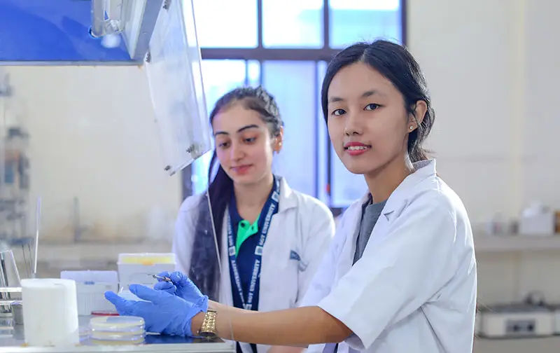 Deparment of Life Sciences