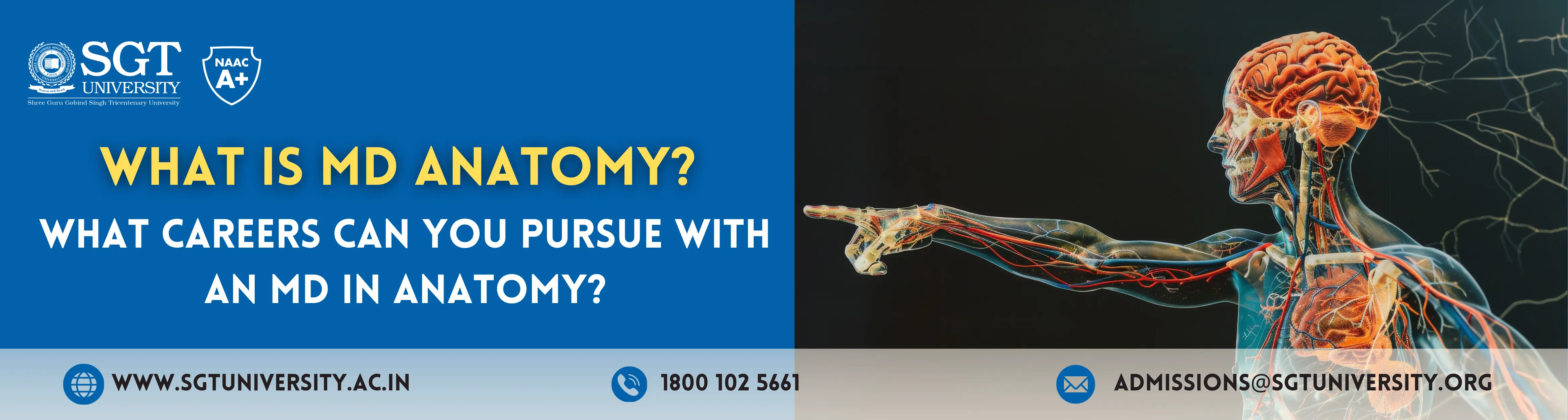 What is MD Anatomy? Career Opportunities and Scope