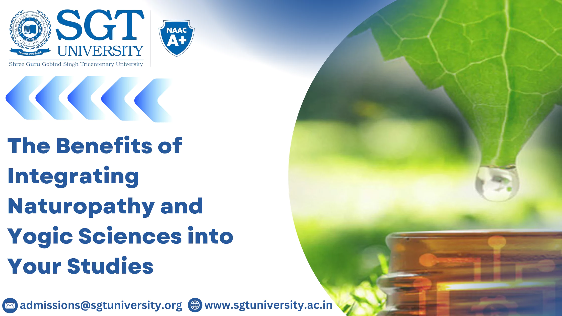 Explore the Healing Arts: Why SGT University is the Best BNYS College