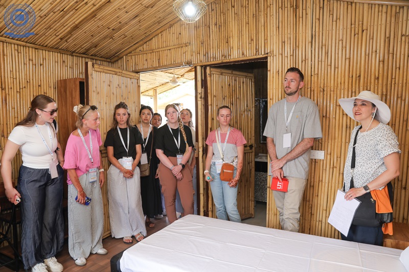 therapeutic potential of natural remedies