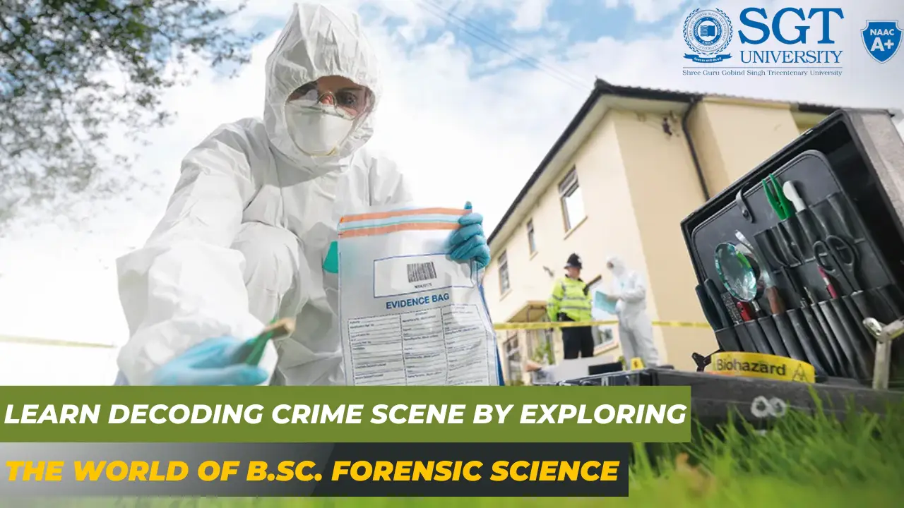 Learn Decoding Crime Scene