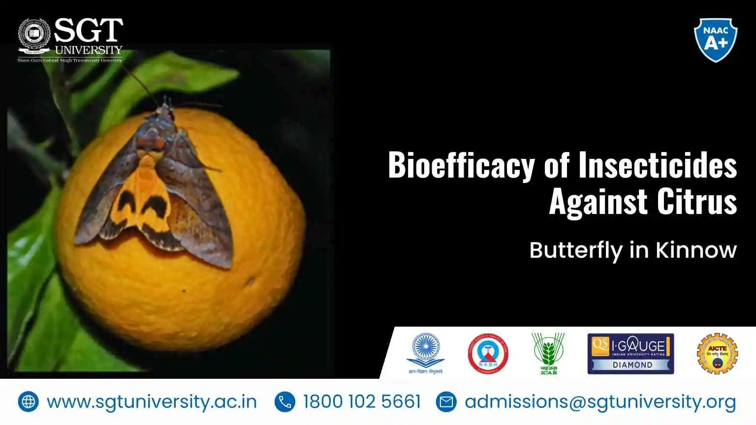 Bioefficacy of Insecticides Against Citrus Butterfly in Kinnow