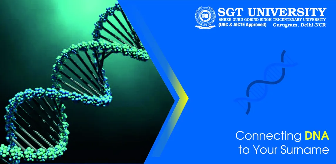 How DNA is Connected to Your Surname: Genetic Links, Genealogy, and Forensic Science