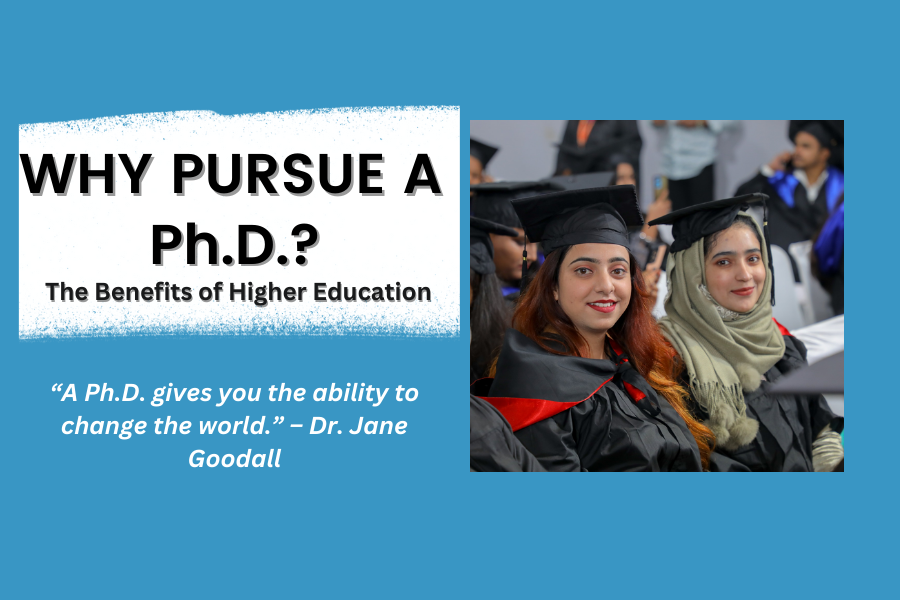 Why pursue a Ph.D.