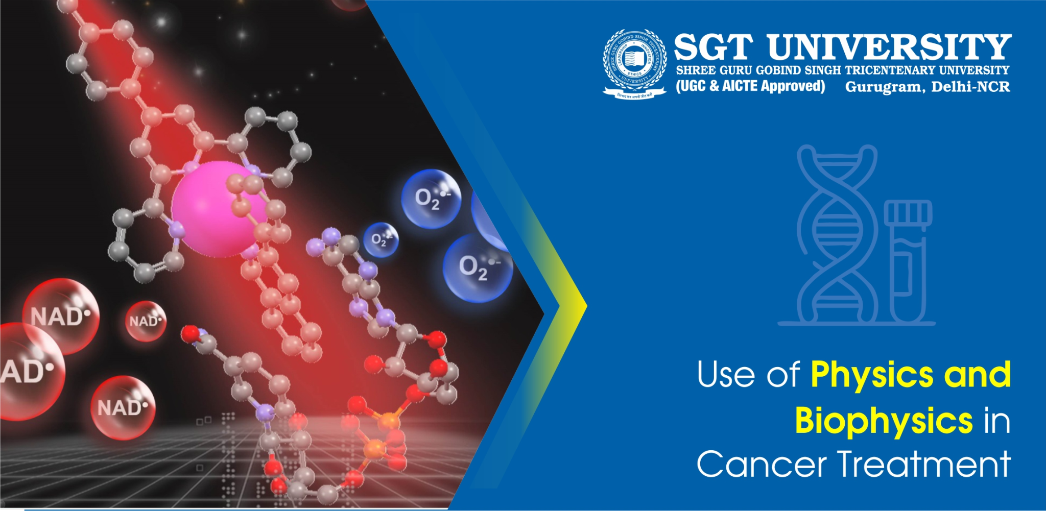 Here’s Why One Should Pursue UG Course BASLP