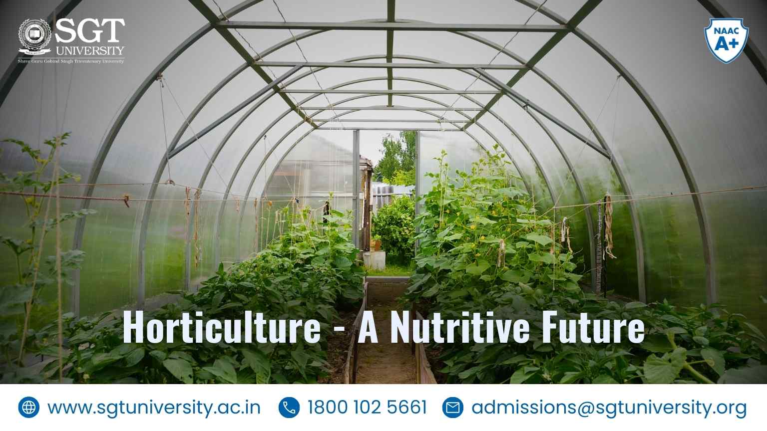 Horticulture - A Nutritive Future