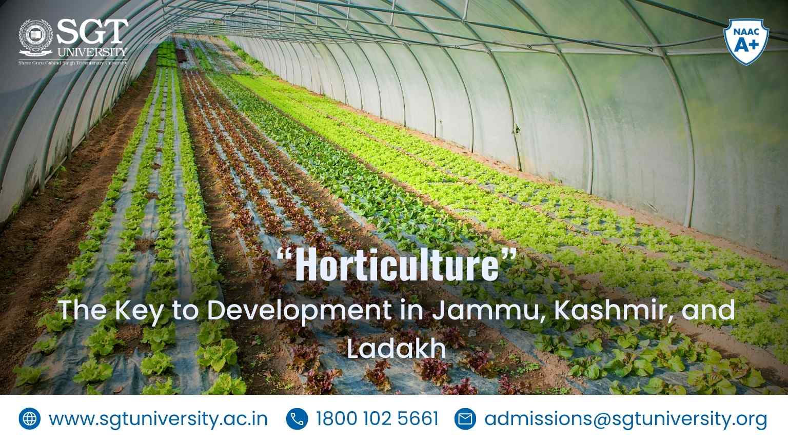 Horticulture Will Be The Key Development